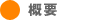 概要